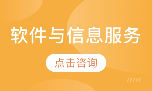 软件与信息服务(软件开发)