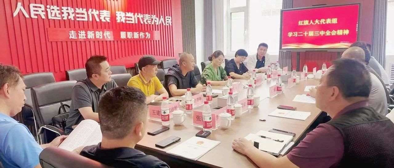 人大代表&ldquo;进站&rdquo;学习党的二十届三中全会精神